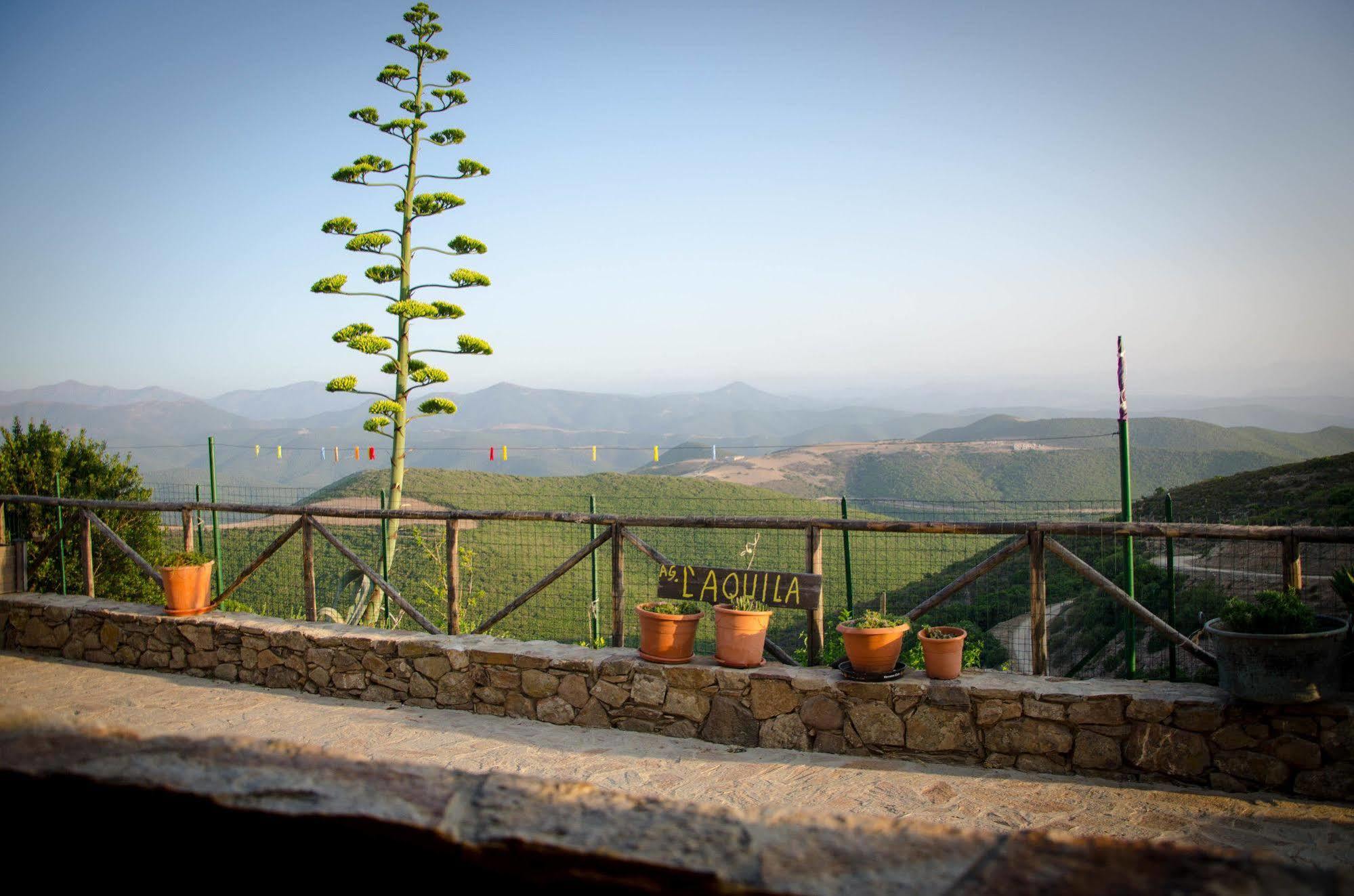 Villa L'Aquila Arbus Exterior foto